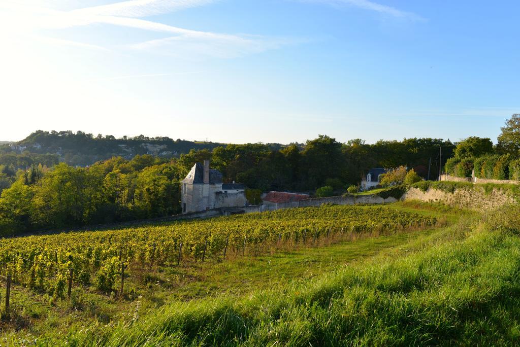 Gites Troglodytes Du Chateau De L'Etoile Vernou-sur-Brenne Ruang foto