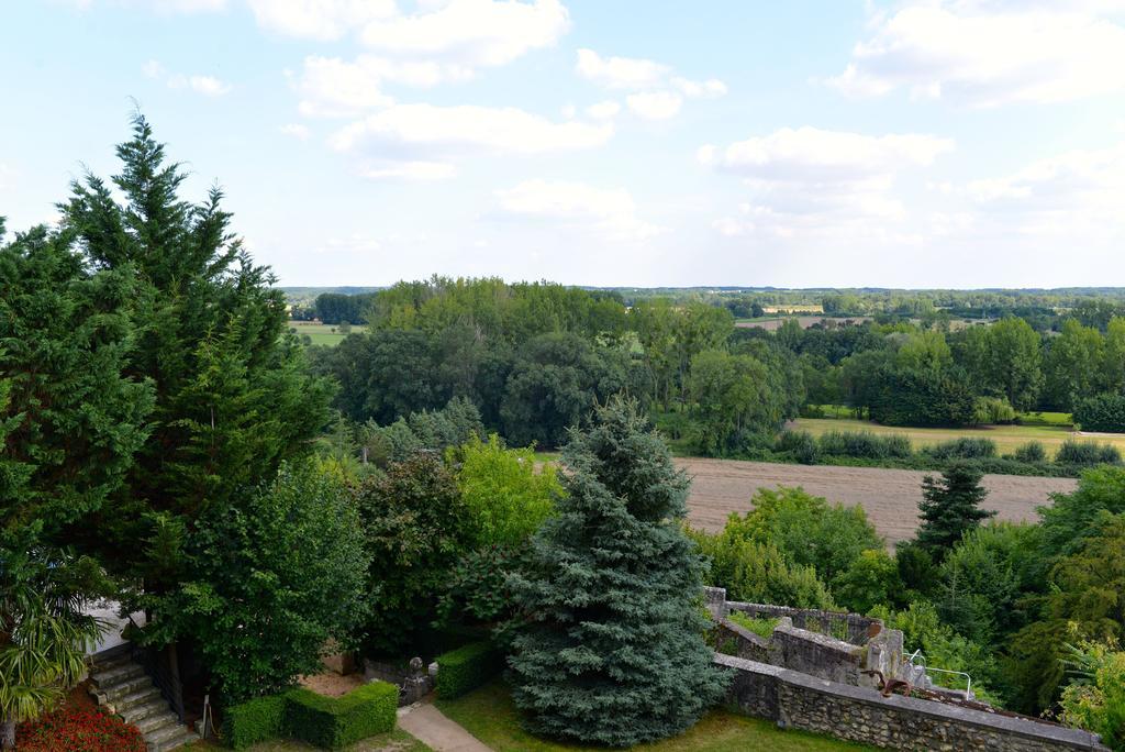 Gites Troglodytes Du Chateau De L'Etoile Vernou-sur-Brenne Ruang foto